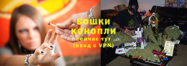 амф Дмитров