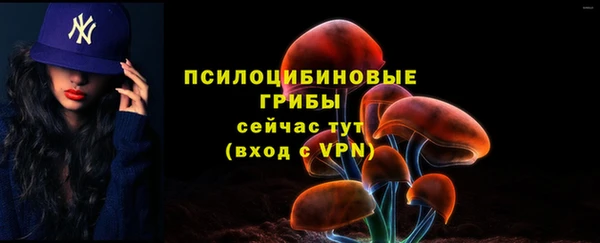 МДПВ Горно-Алтайск