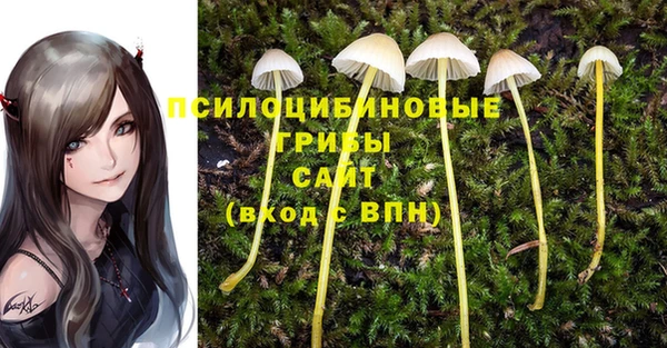 герыч Горняк
