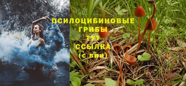 МДПВ Горно-Алтайск