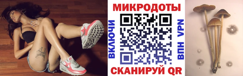 Псилоцибиновые грибы прущие грибы  Купить где  Курчатов 